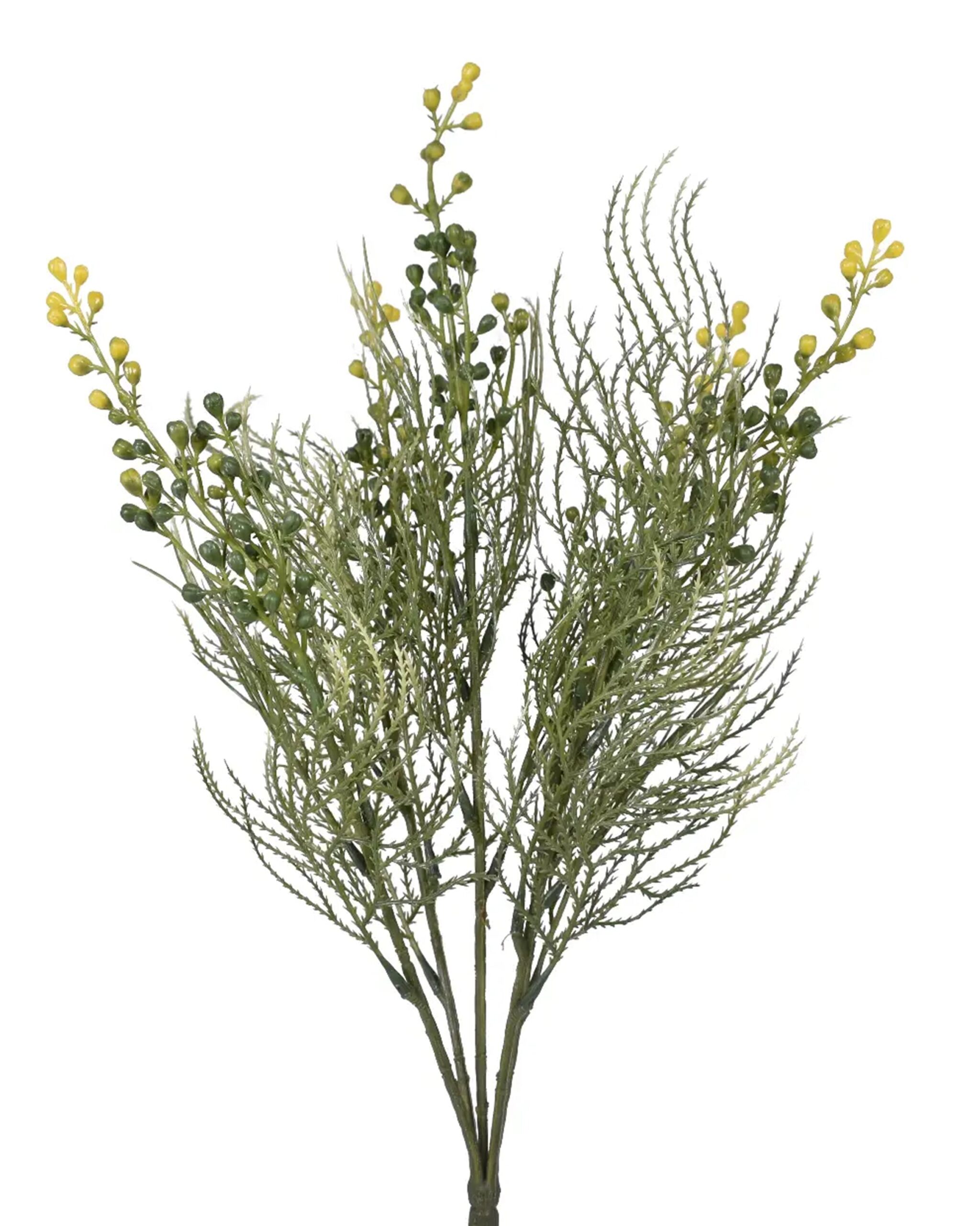 18in-grass-bush