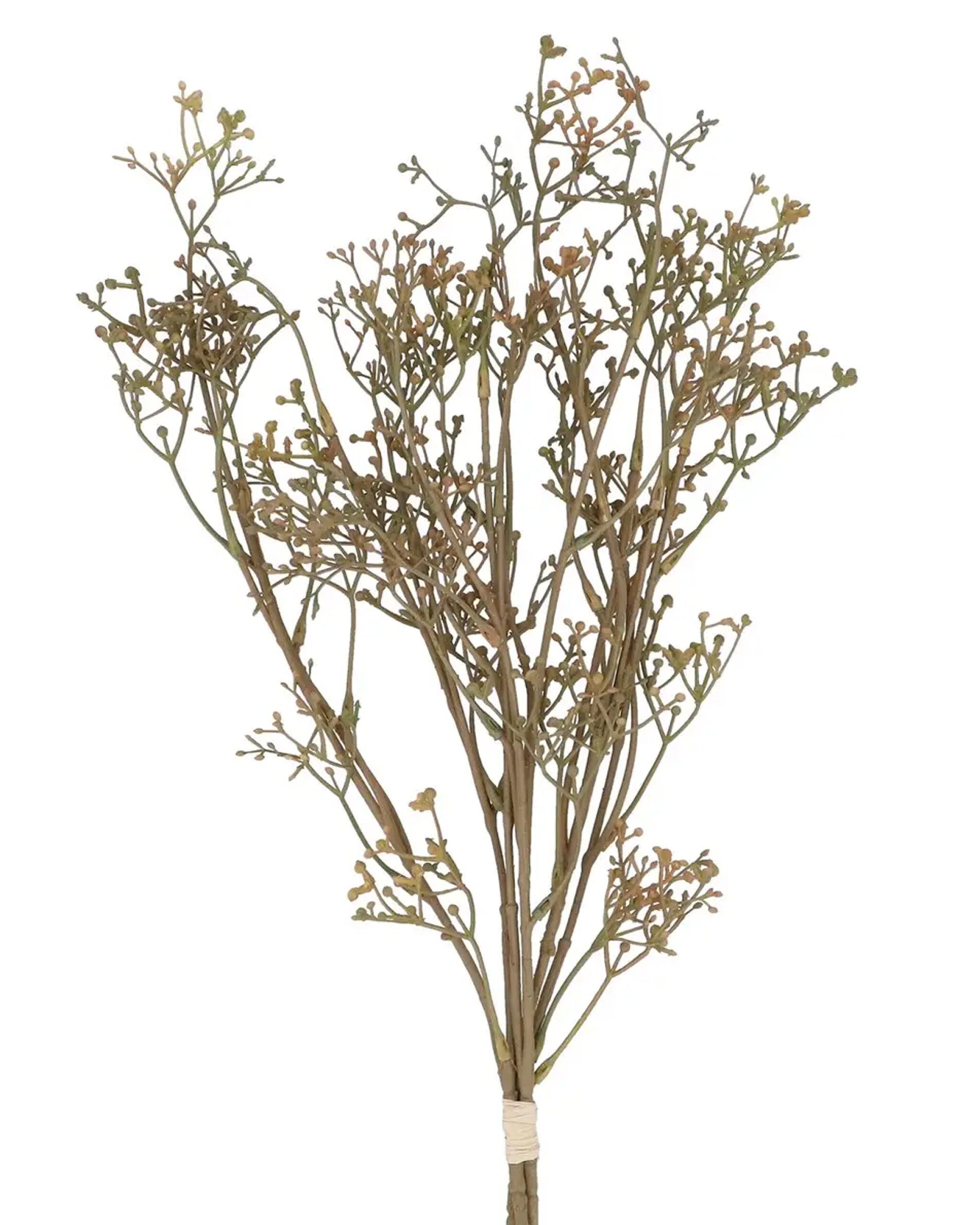 antique_cream_branches
