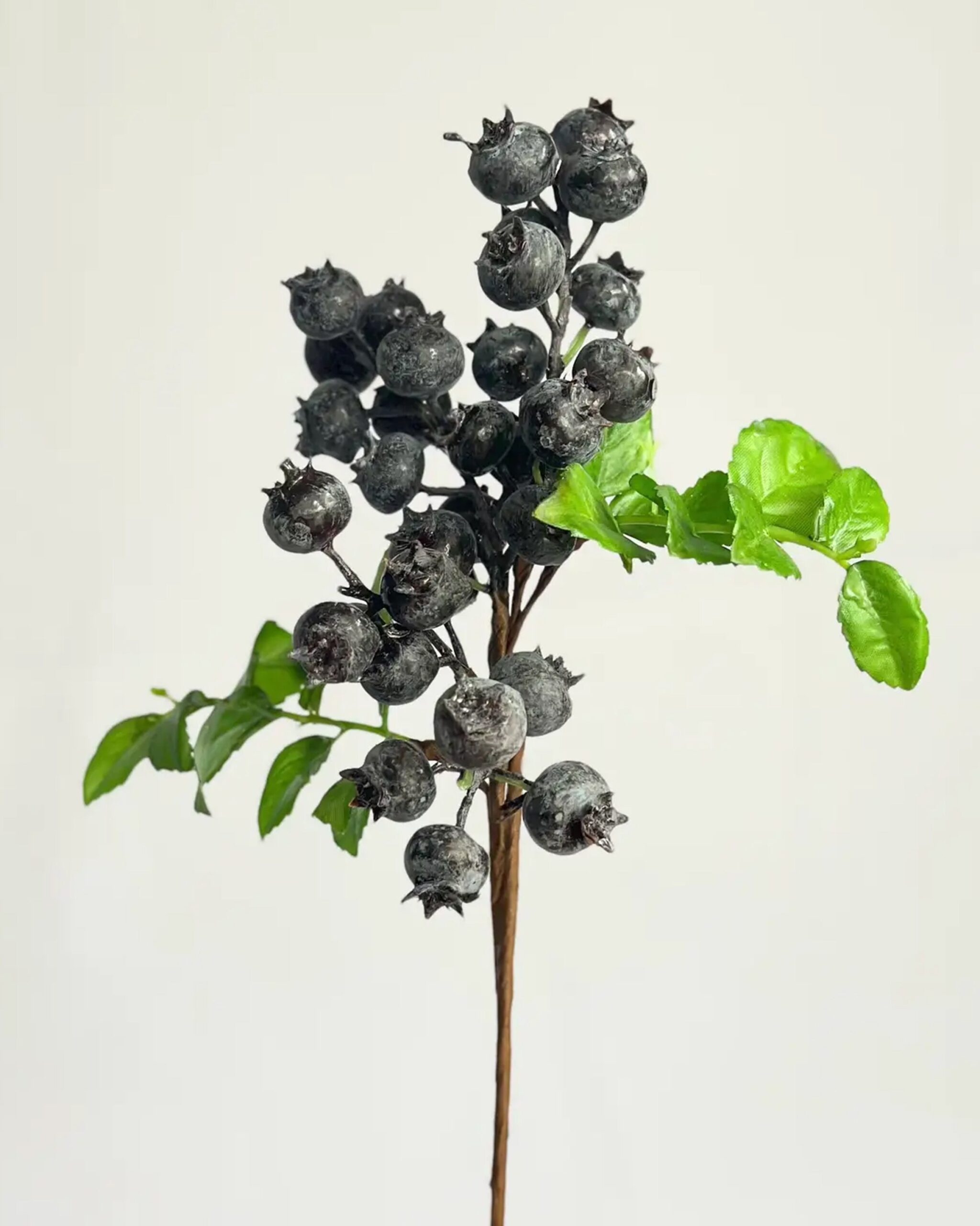 blueberry-branch-mini