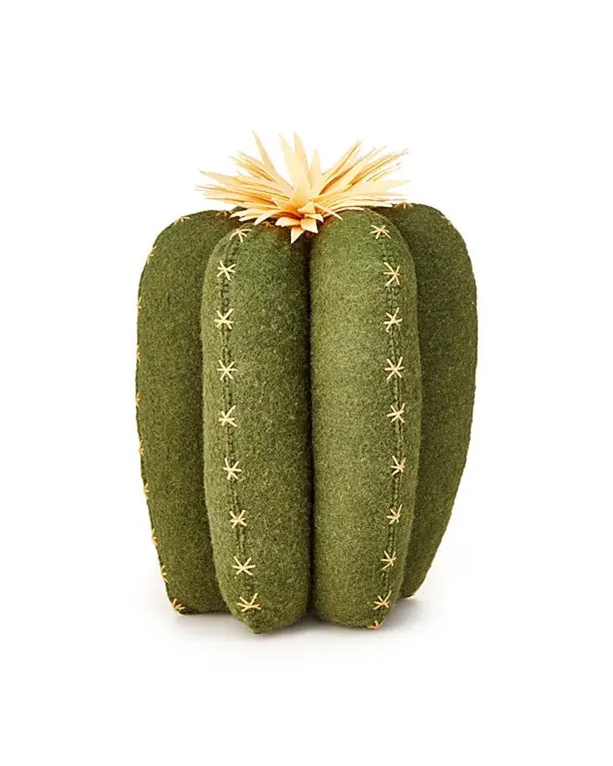 cactus-pillow