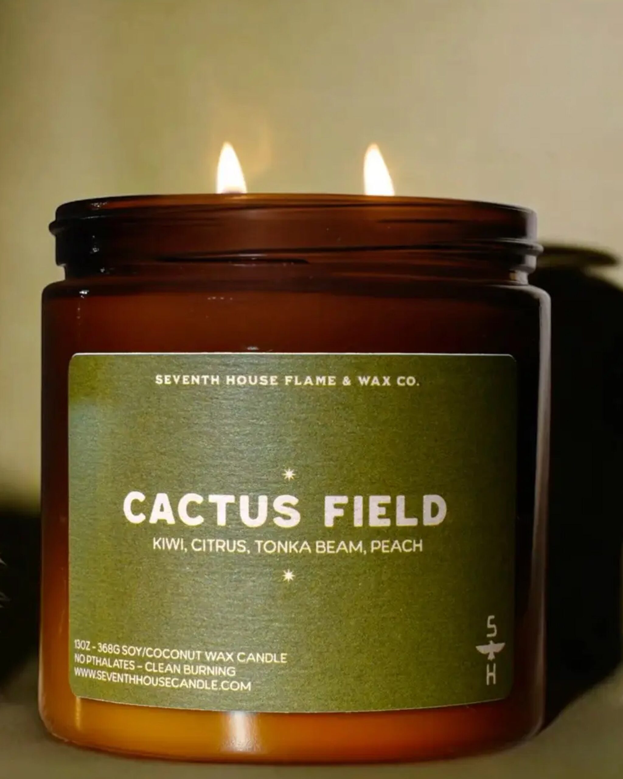 cactus_field_candle