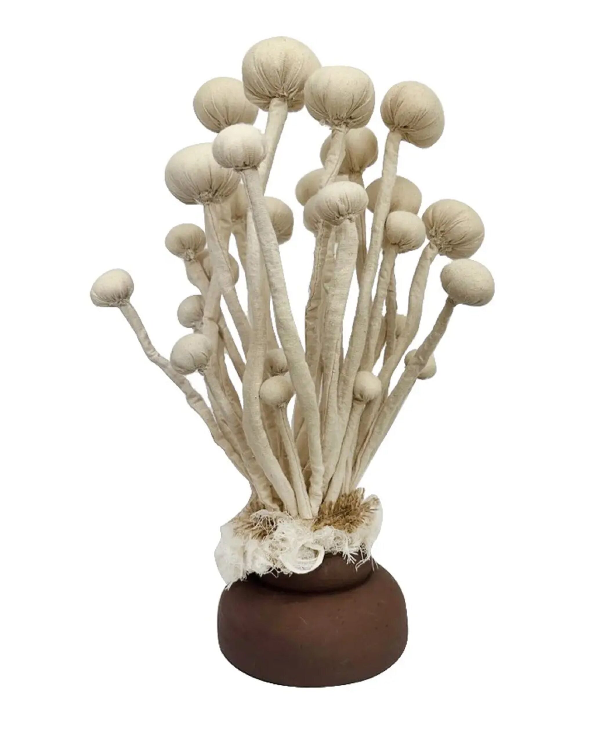 enoki-mushroom