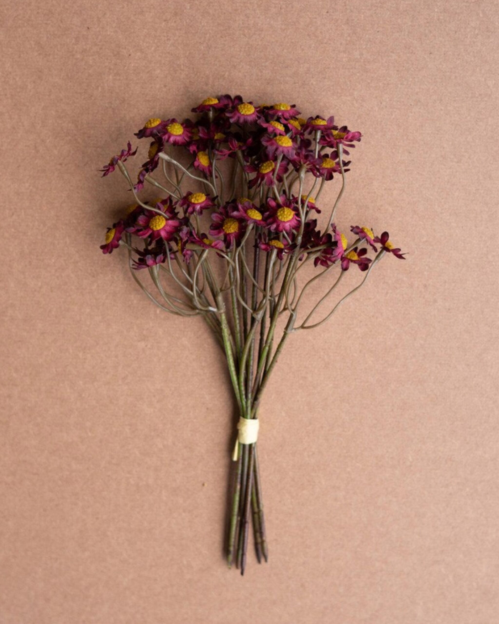 faux-chamomile