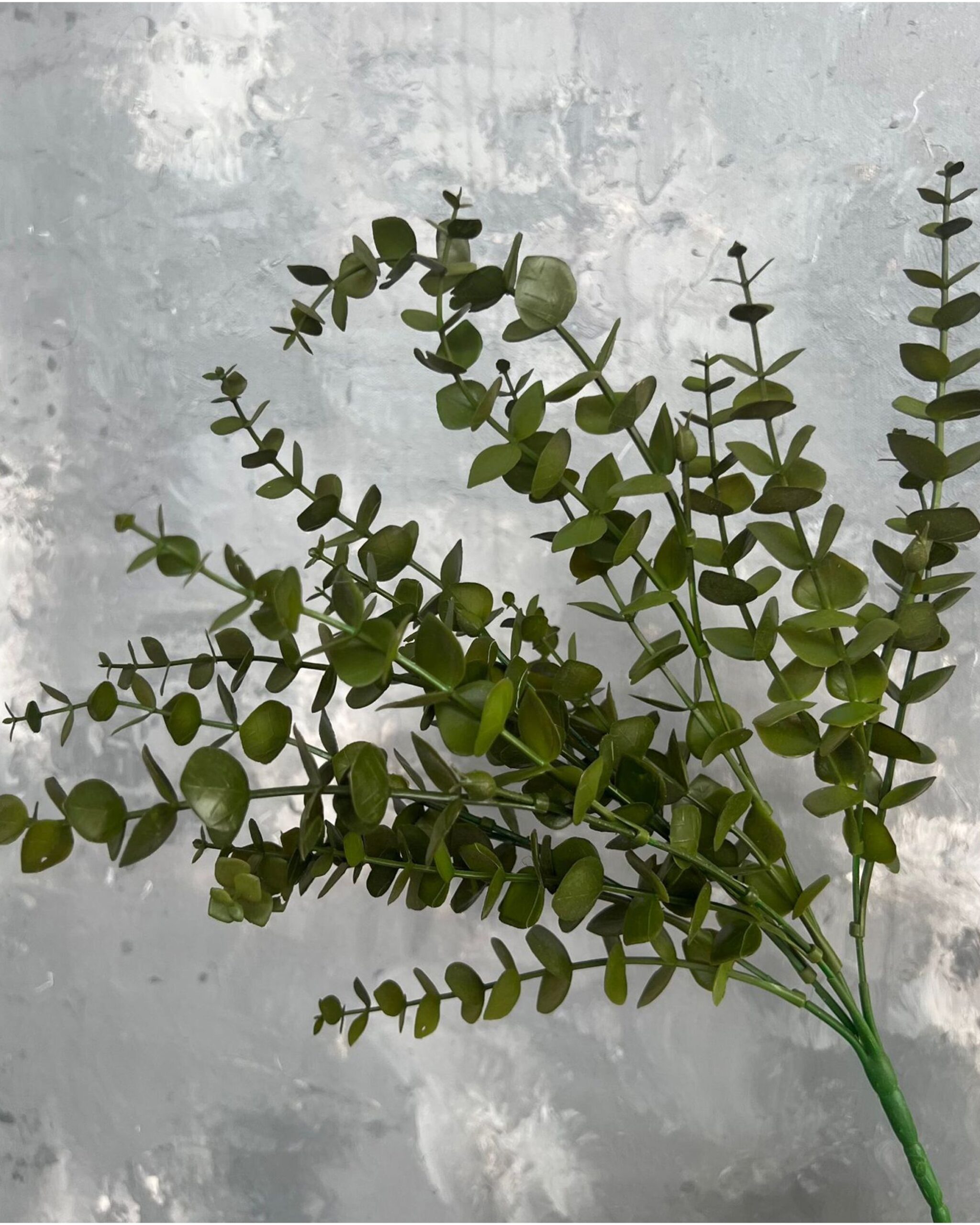 faux_eucalyptus