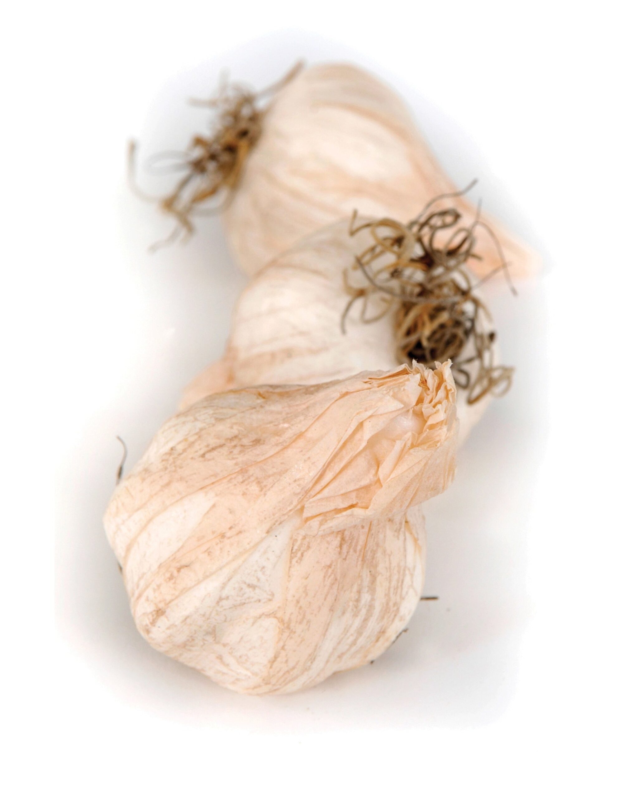 garlic-decor