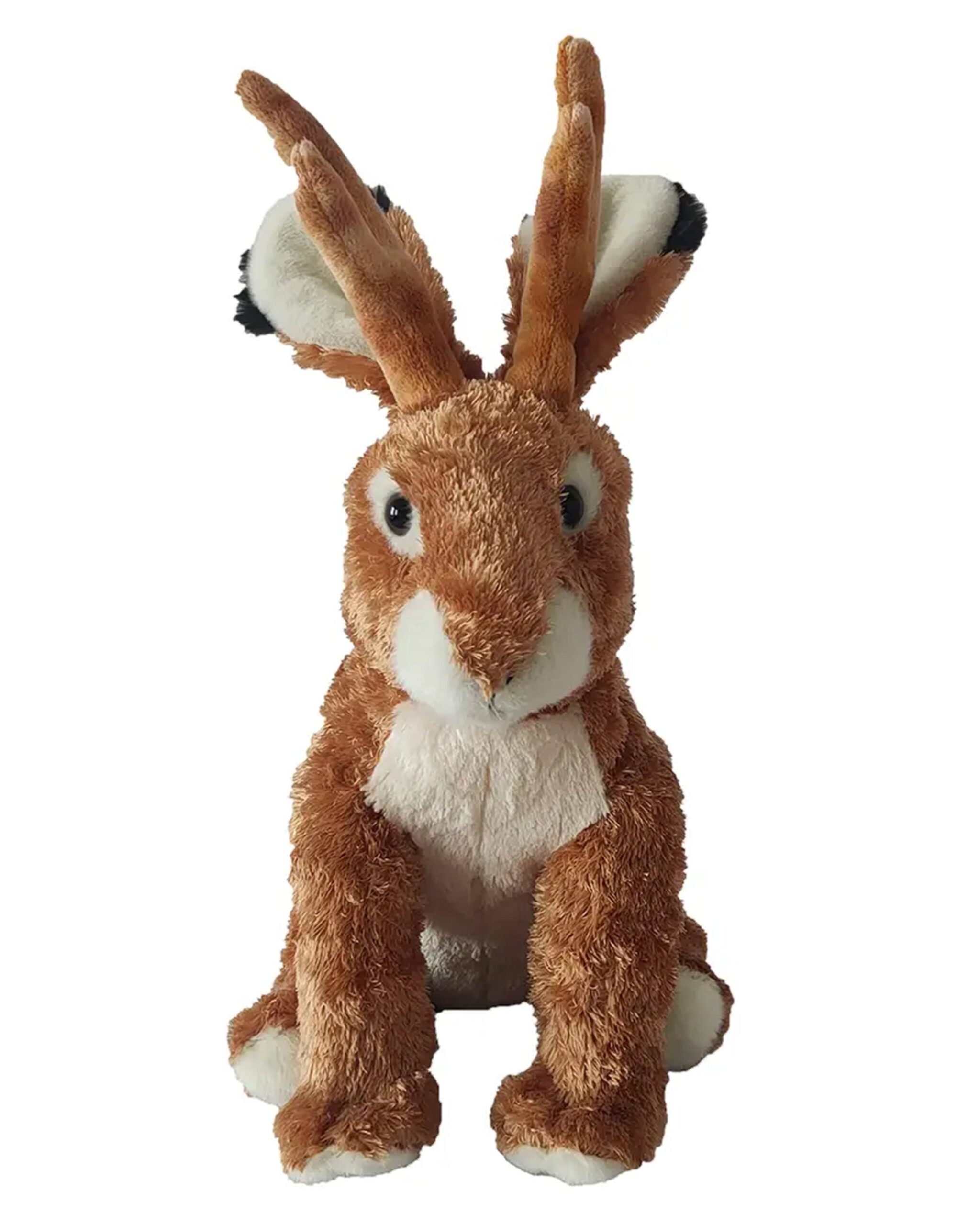 jackalope