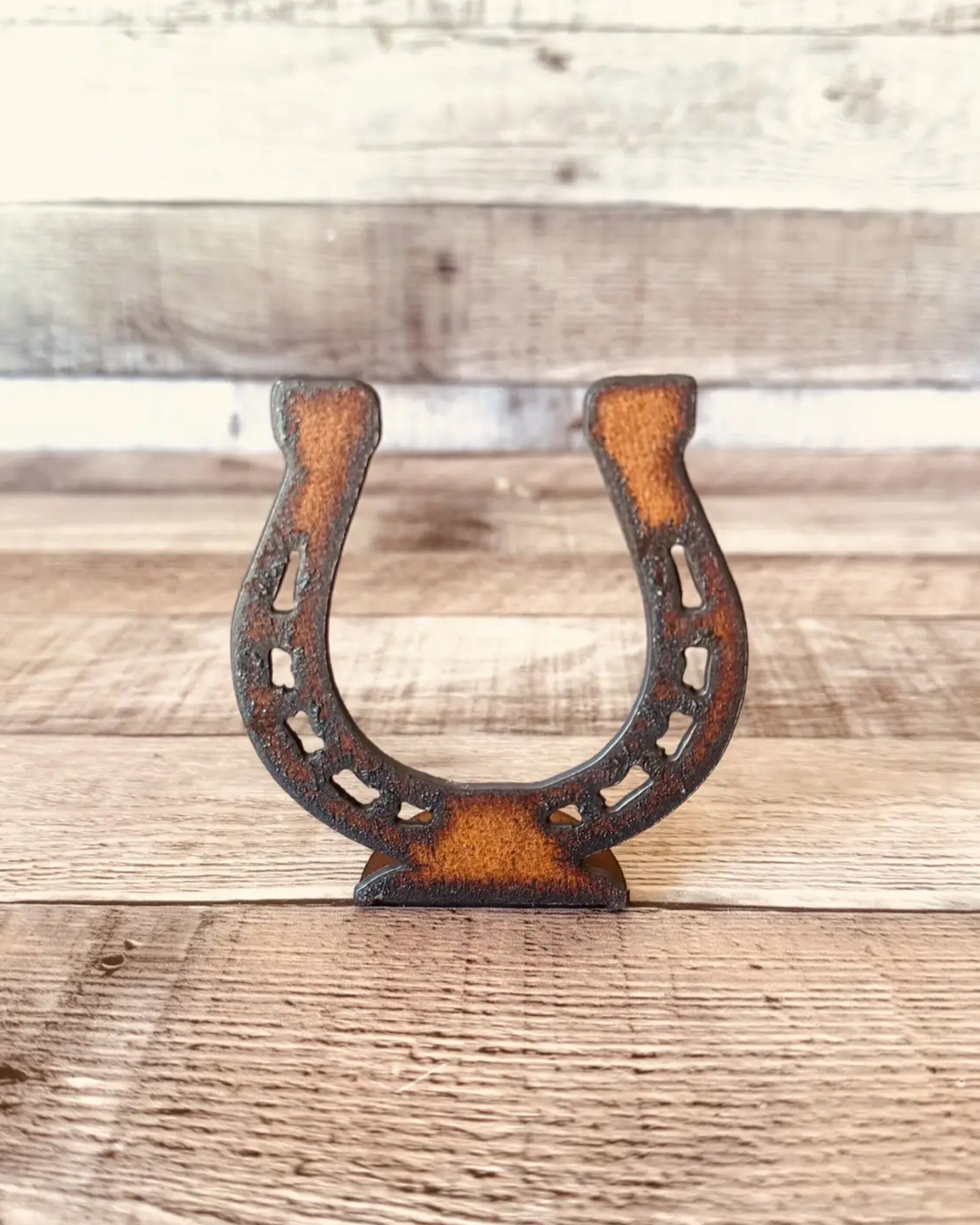 metal-horseshoe