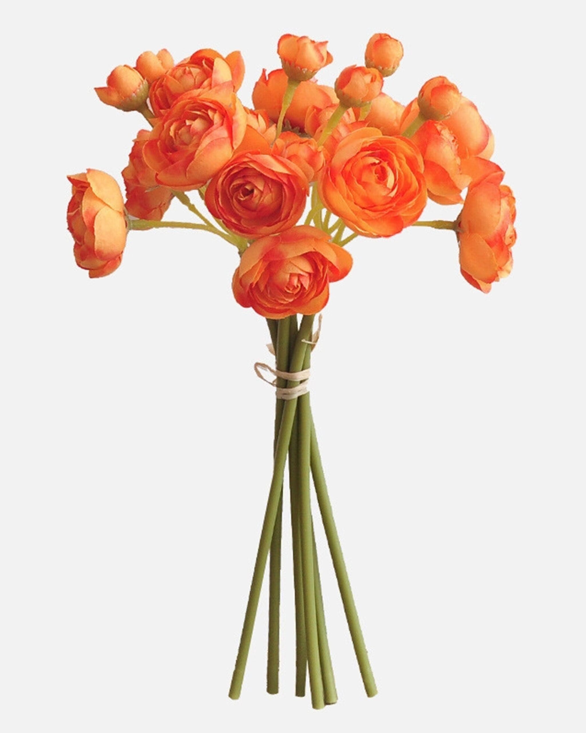 orange_bby_ranu