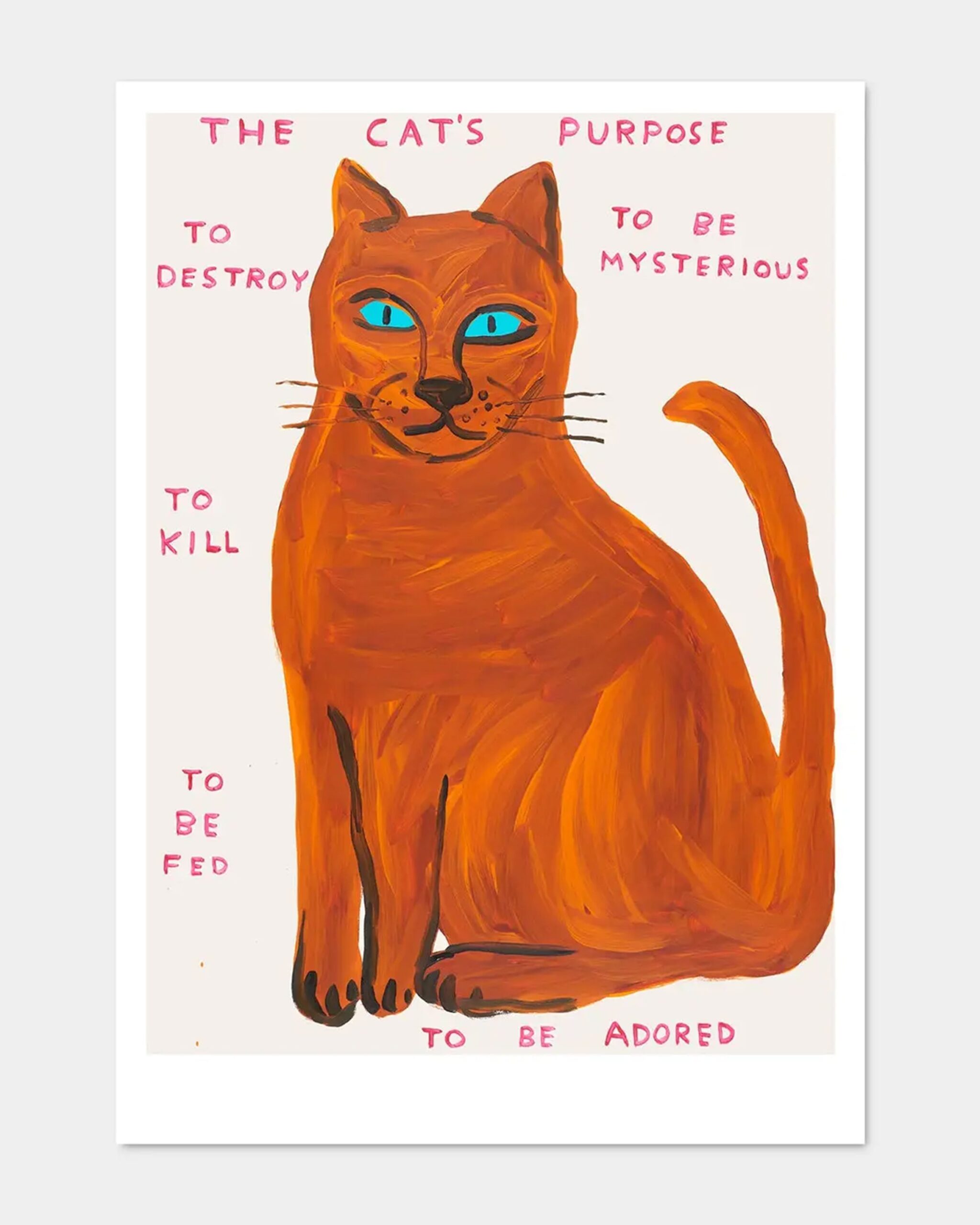 orangecat