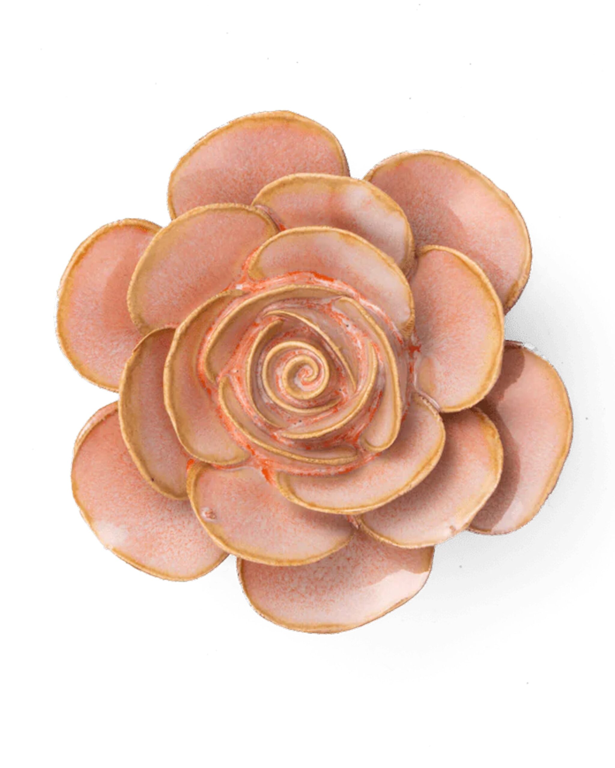 peach_pink_cloni_flower