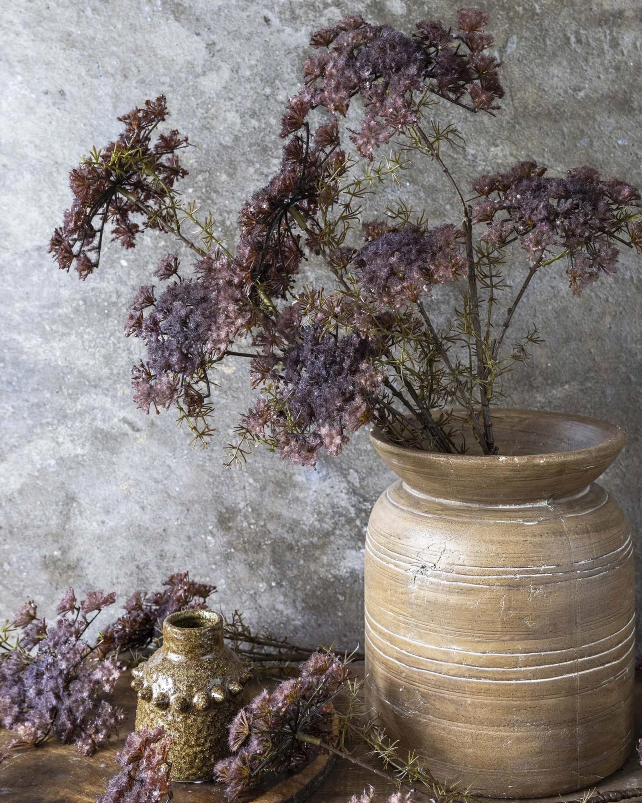 queen-anne-s-lace