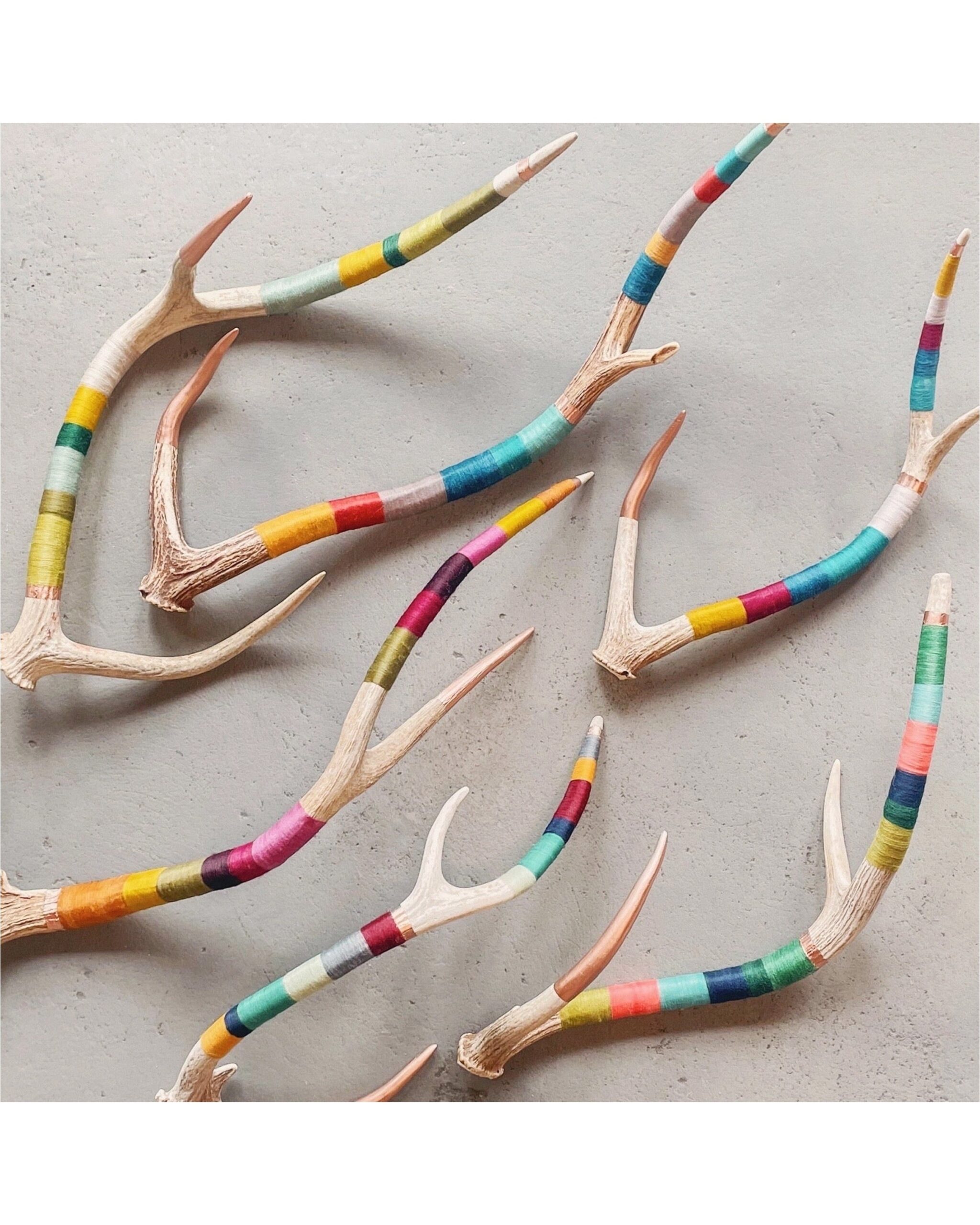 rainbow-antlers
