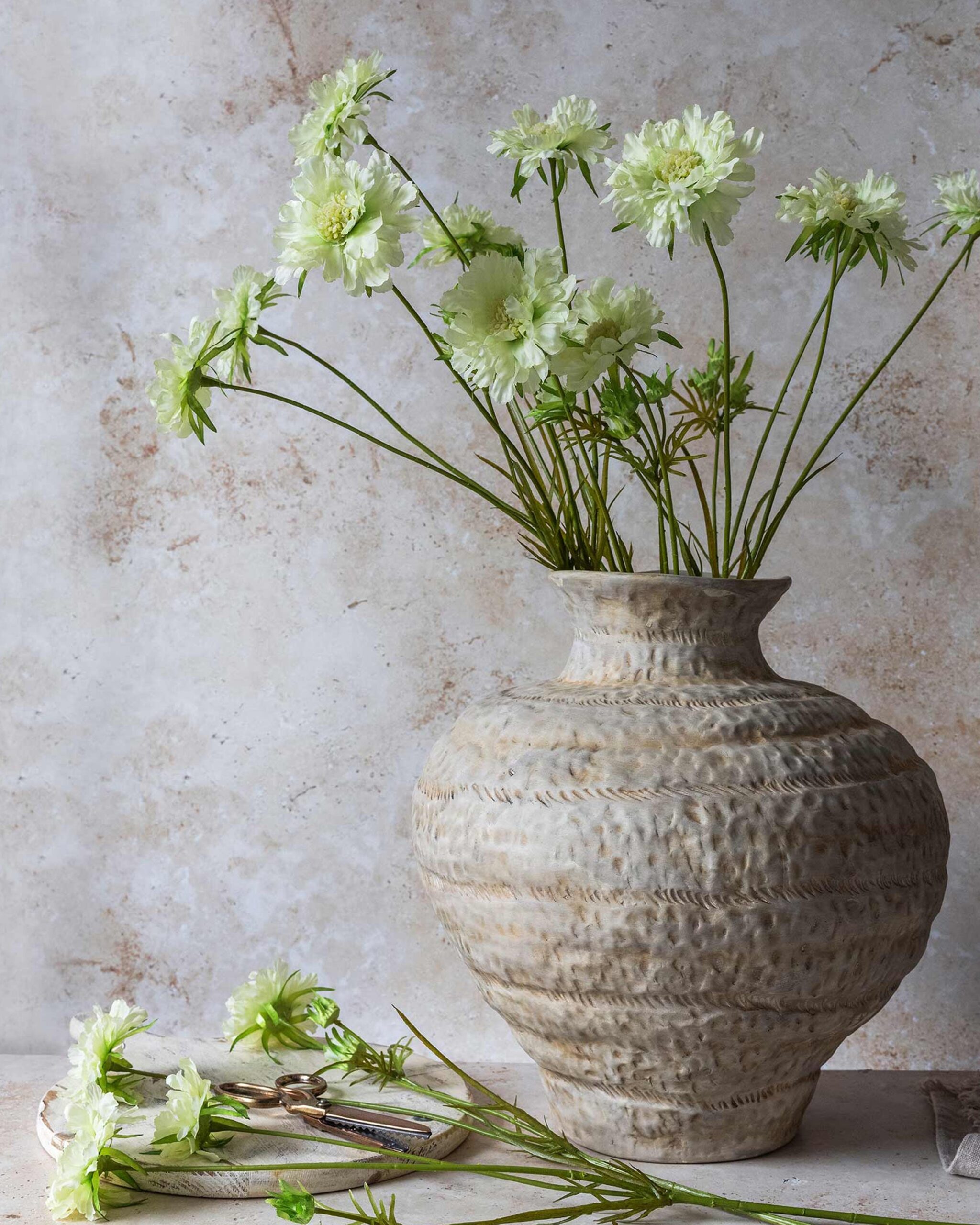 scabious-flower