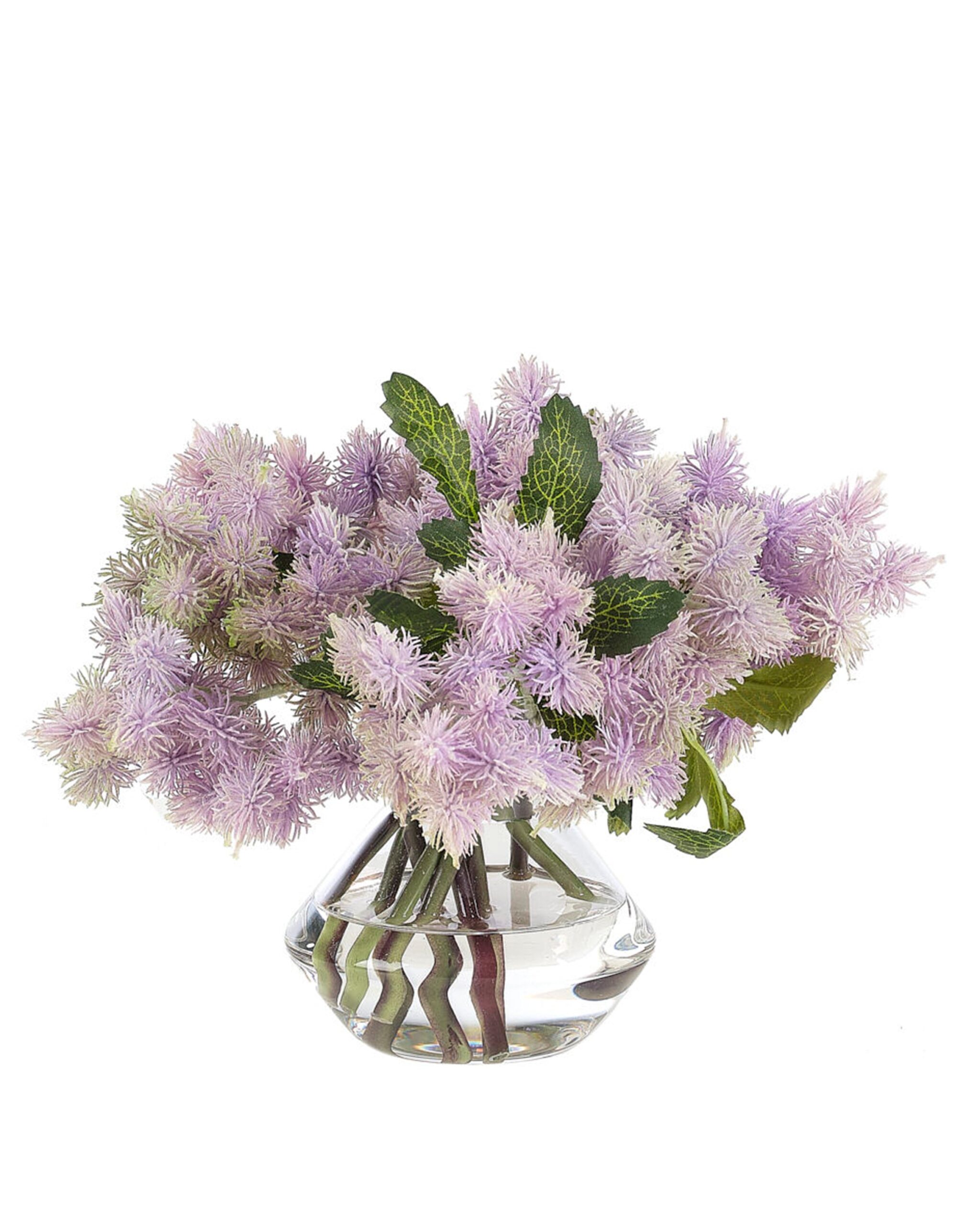 thistle-plant