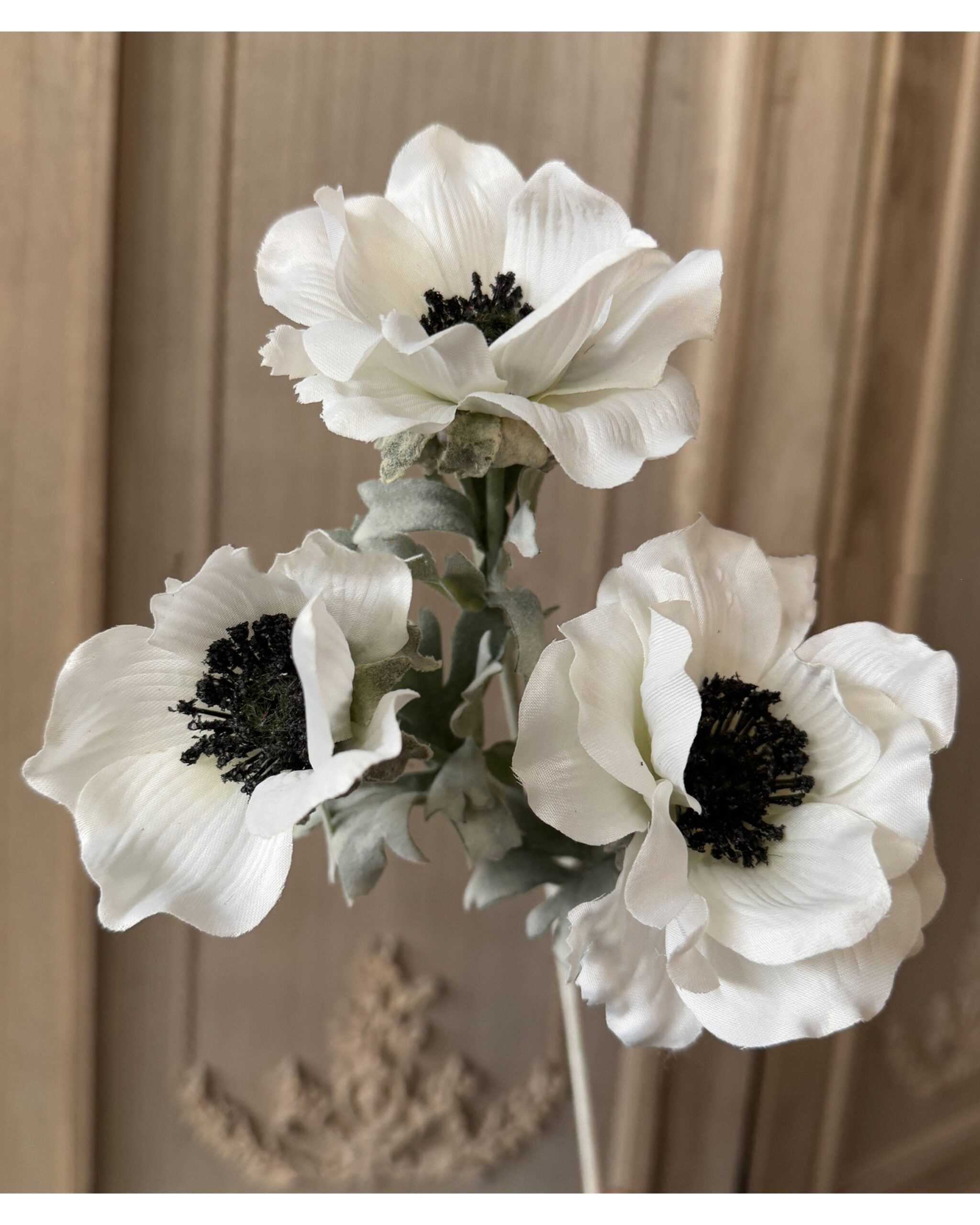whiteanemone